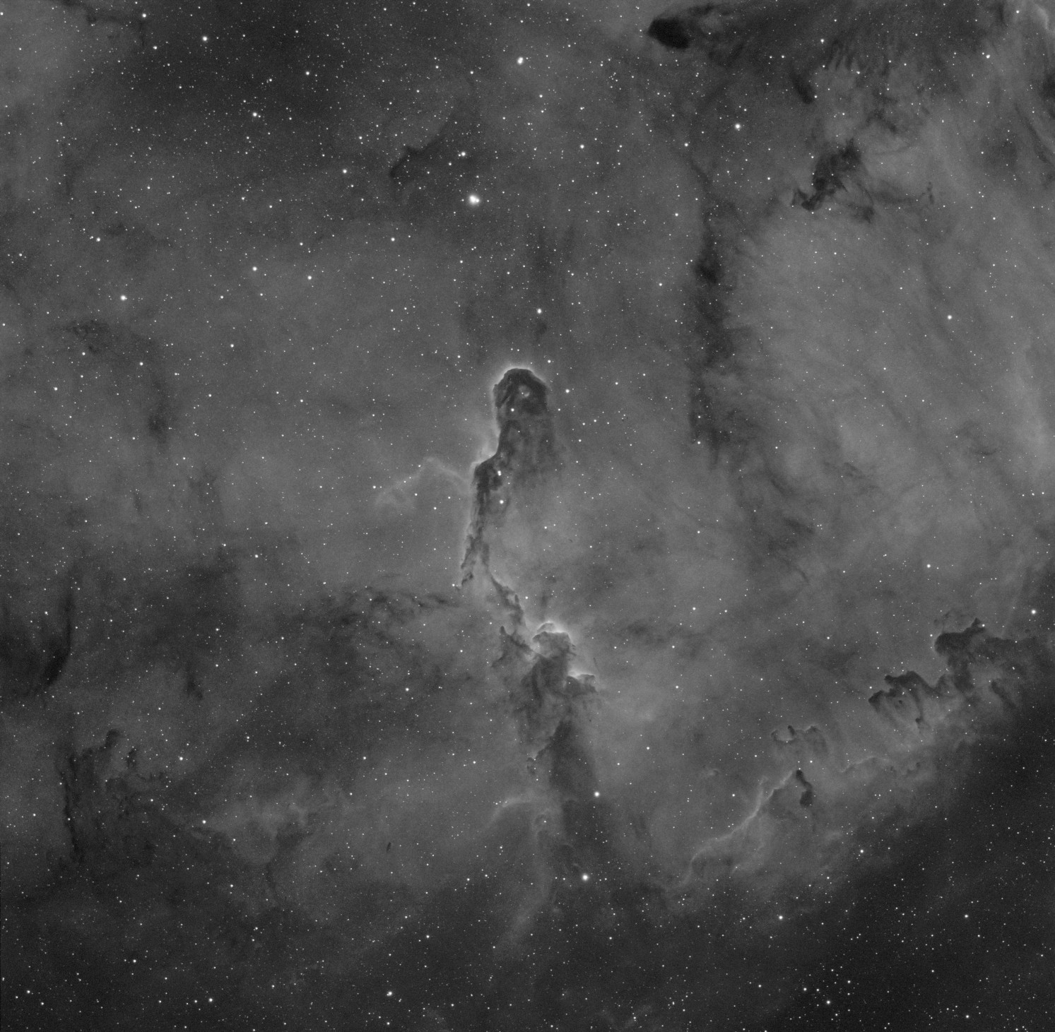 Nébuleuse de la trompe d'éléphant