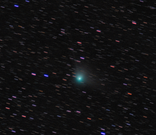 Image de l'article 1